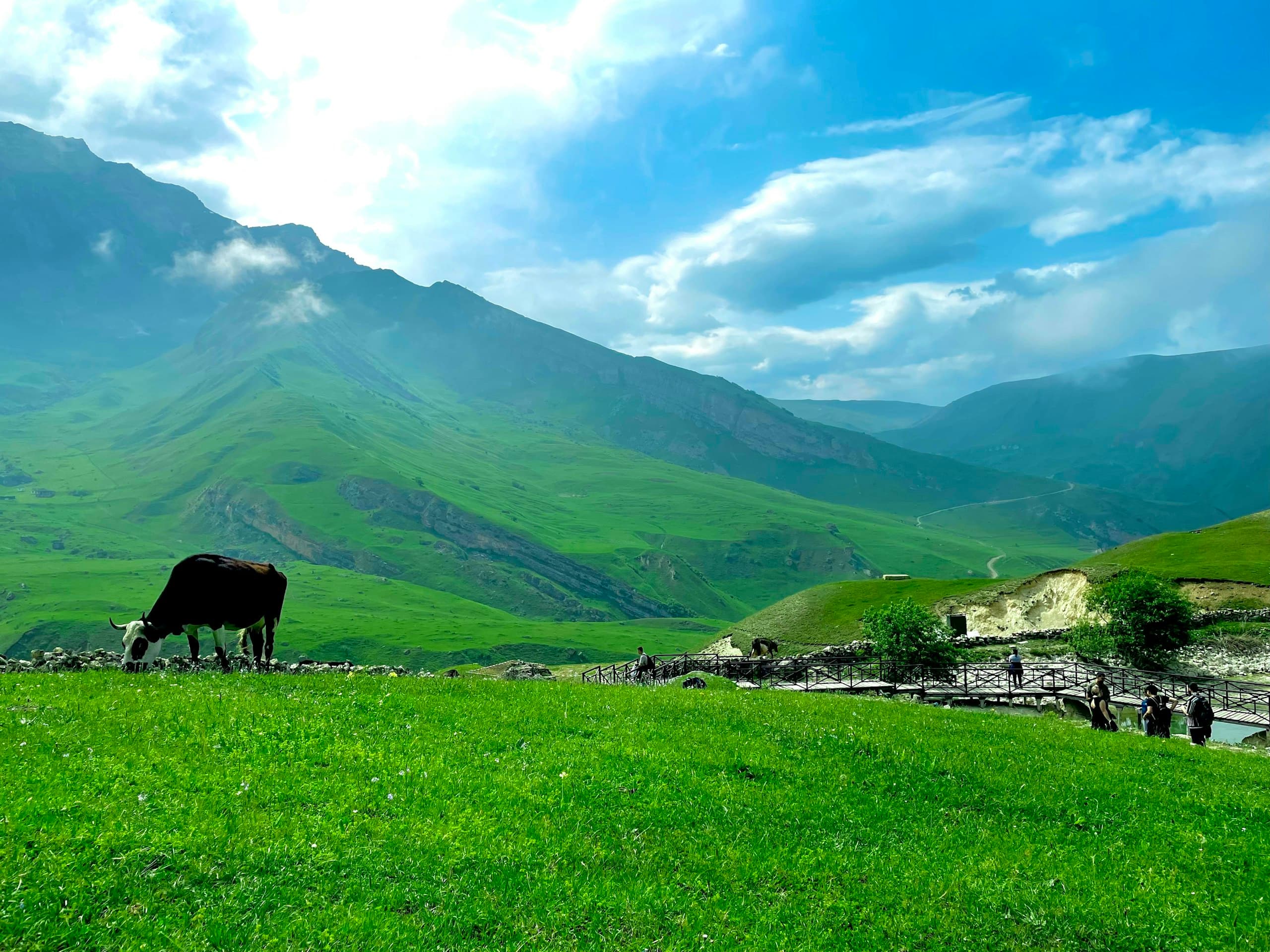 Caucasus Honeymoon